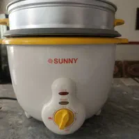 پلوپز سانی