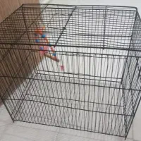 قفس