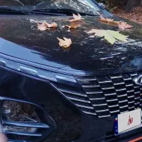 x33کراس دندیی