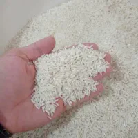 طارم محلی اصلی بشرط پخت