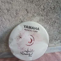 پوسته.ورق طبل 80