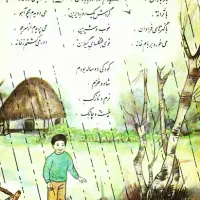 داوطلبانه