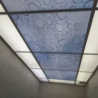 استخدام جوان خوش انرژی