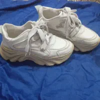 دوعدد کفش در حد نو