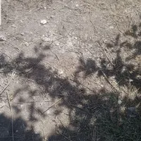حدود ۴۰۰ متر زمین باغی در روستای بک (بق)