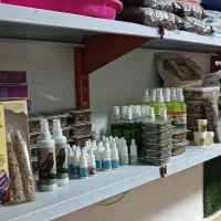 مغازه|پرنده|ماکو, |دیوار