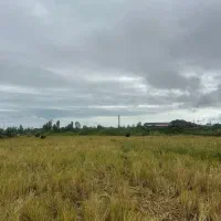 ۳۵۰۰مترزمین مزروعی نزدیک شهر مناسب کاشت کیوی