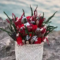 گل یلدا|گل مصنوعی|کیش, |دیوار