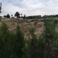 زمین ۳۰۰ متر فیروز بهرام|فروش زمین و ملک کلنگی|چهاردانگه (تهران), |دیوار