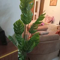 درختچه گل مصنوعی برگ انجیری