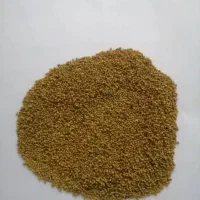 بذر یونجه رقم رنجر