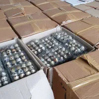 محصولات بلدرچین