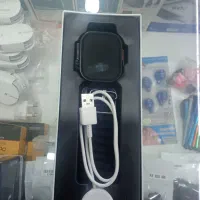 ساعت هوشمند|ساعت|نیشابور, گنبد سبز|دیوار