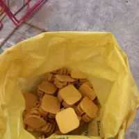 قفسه مشبک فلزی|کتابخانه، شلف، قفسه‌های دیواری|اراک, |دیوار