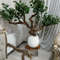 درختچه بونسای مصنوعی|گل مصنوعی|شهریار, رضی آباد بالا|دیوار