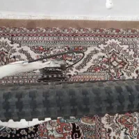 دوچرخه ۲۶|دوچرخه، اسکیت، اسکوتر|محمدشهر, محمدشهر|دیوار