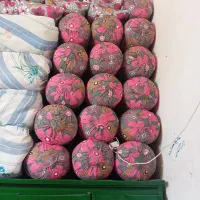 بالشت|رختخواب، بالش، پتو|چاروسا, |دیوار