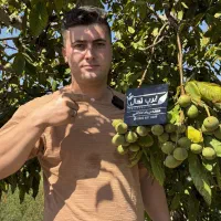 تولید انواع نهال در نهالستان غرب