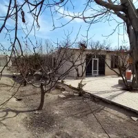 1300-متر-باغچه-در-بهترین-لوکیشن-سند-دار-کاسبی