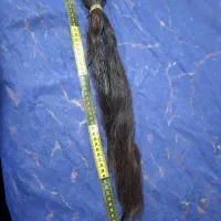 مو طبیعی  برای فروش