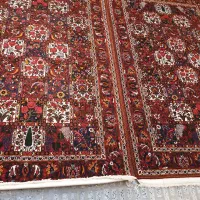 قالی دست بافت چالشتر|فرش|شهرکرد, |دیوار