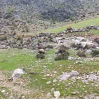 دوربین شکاری اسب دوانی