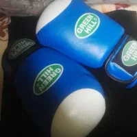 دستکش های بکس (فوق العاده سالم درحدنو)