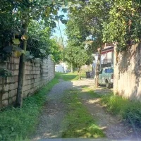 زمین داخل طرح با نامه داخل طرح از بنیاد|فروش زمین و ملک کلنگی|واجارگاه, |دیوار