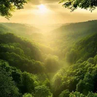 تور استانبول زمینی 8 فروردین