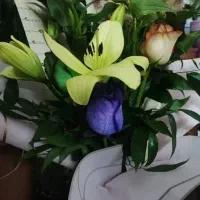 پرستار کودک خانم