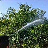 سم پاشی باغات و مزارع با منبع هزار لیتری
