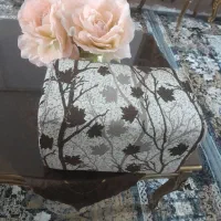 مینی پشتی مال شاه نشین بوده