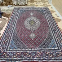 دو تخته فرش شش متری|فرش|کنگاور, |دیوار