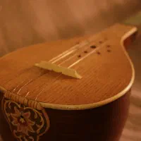 کارگاه سازگری گلچین فر|سازهای سنتی|لاهیجان, شقایق|دیوار