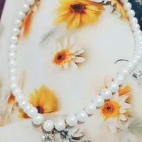 عکس سوری