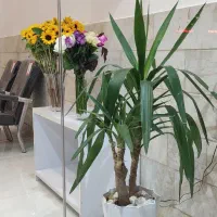 دو-باب-مغازه-زمین-مسکونی-و-تجاری