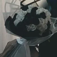 گل رمانی