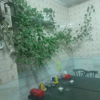 بعلت تغییر تحول این گلها بفروش  میرسدقیمت ۲میلیون|گل و گیاه طبیعی|تهران, حشمتیه|دیوار