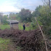 301 متر زمین املش|فروش زمین و ملک کلنگی|اطاقور, |دیوار