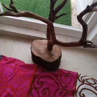 فروش یک عدد درختچه چوبی کار دست