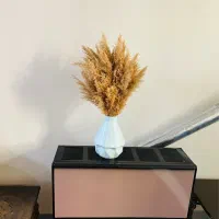 گلدان و پامپاس