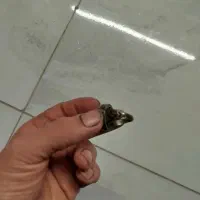 انگشتر قدیمی از پدر بزرگم به من رسیده.|زیورآلات و اکسسوری|لاهیجان, بازکیاگوراب|دیوار