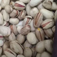 پسته تازه امسالی