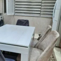 پرده زبرا ۳ عدد