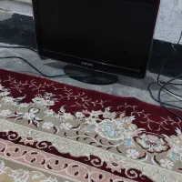 تی وی|تلویزیون و پروژکتور|دوگنبدان, |دیوار