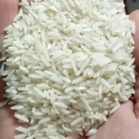 برنج هاشمی کوجنق درجه 1