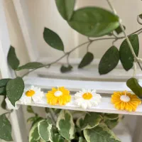 شمع های دست ساز|صنایع دستی و سایر لوازم تزئینی|اصفهان, مولوی|دیوار