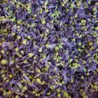 استخوام نیرو کارگاهی