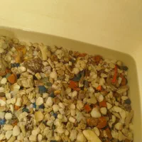 ماهی|ماهی|نوشین شهر, |دیوار