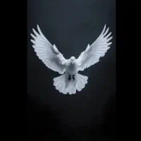 کبوتر پیدا شده